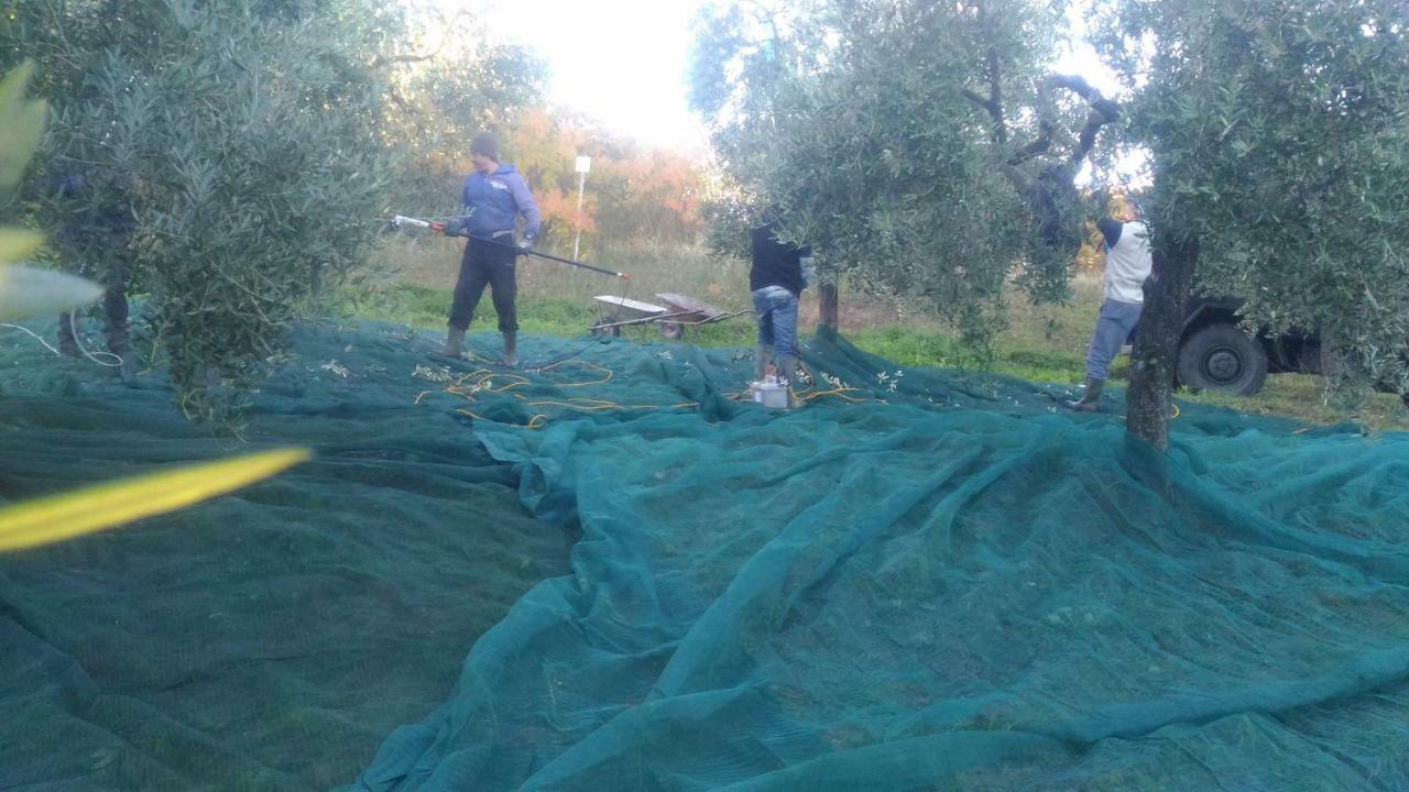 Baduerughe - Valledellago Pensionat Poggio Mirteto Exteriör bild